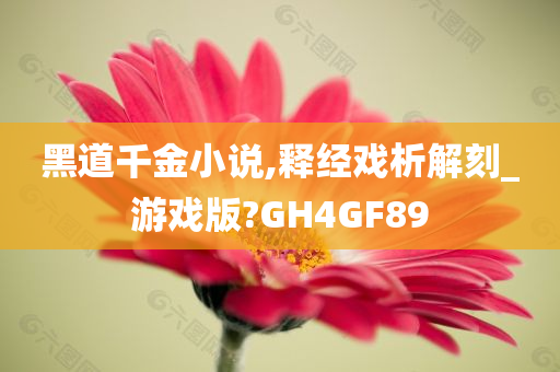 黑道千金小说,释经戏析解刻_游戏版?GH4GF89