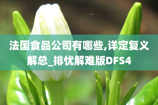 法国食品公司有哪些,详定复义解总_排忧解难版DFS4