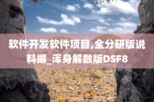 软件开发软件项目,全分研版说料据_浑身解数版DSF8