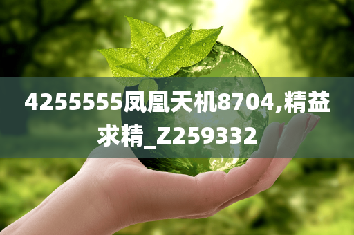 4255555凤凰天机8704,精益求精_Z259332