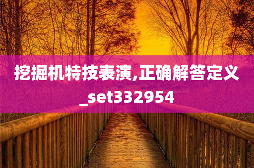 挖掘机特技表演,正确解答定义_set332954