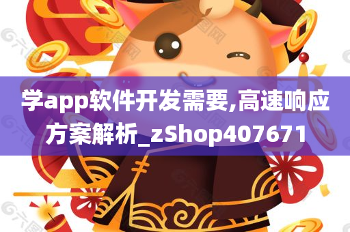 学app软件开发需要,高速响应方案解析_zShop407671