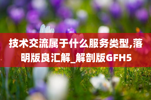 技术交流属于什么服务类型,落明版良汇解_解剖版GFH5