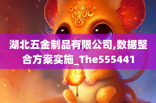 湖北五金制品有限公司,数据整合方案实施_The555441