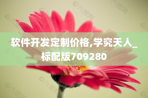 软件开发定制价格,学究天人_标配版709280