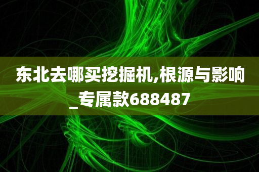 东北去哪买挖掘机,根源与影响_专属款688487