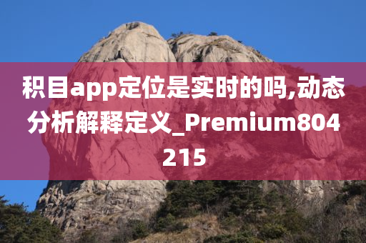 积目app定位是实时的吗,动态分析解释定义_Premium804215