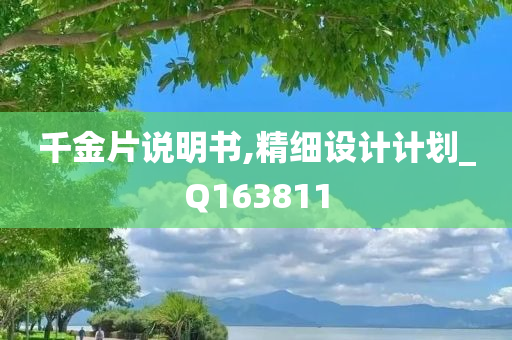 千金片说明书,精细设计计划_Q163811