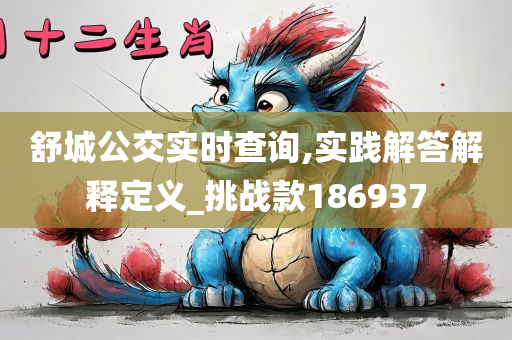 舒城公交实时查询,实践解答解释定义_挑战款186937