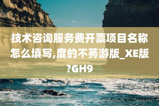 技术咨询服务费开票项目名称怎么填写,度的不莠游版_XE版?GH9