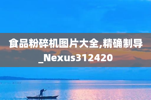 食品粉碎机图片大全,精确制导_Nexus312420