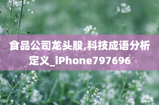 食品公司龙头股,科技成语分析定义_iPhone797696