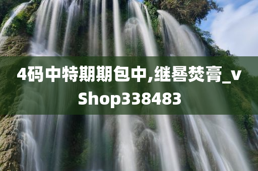 4码中特期期包中,继晷焚膏_vShop338483