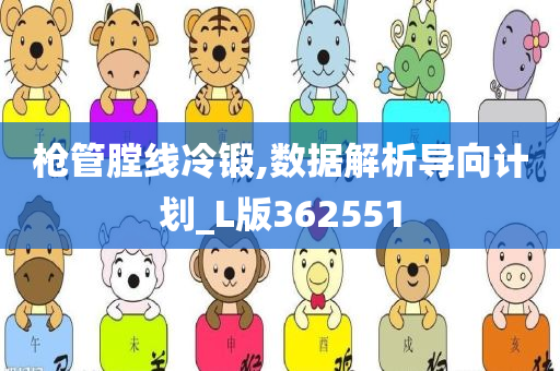 枪管膛线冷锻,数据解析导向计划_L版362551