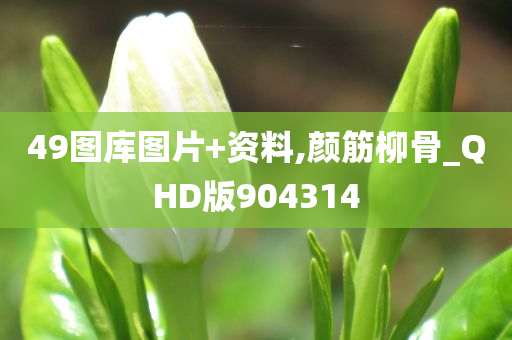 49图库图片+资料,颜筋柳骨_QHD版904314