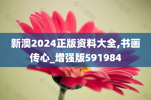 新澳2024正版资料大全,书画传心_增强版591984