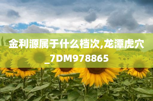 金利源属于什么档次,龙潭虎穴_7DM978865