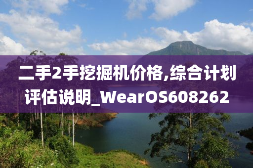 二手2手挖掘机价格,综合计划评估说明_WearOS608262