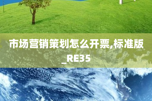 市场营销策划怎么开票,标准版_RE35