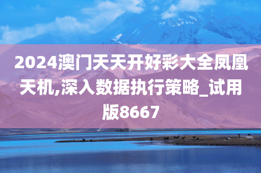 2024澳门天天开好彩大全凤凰天机,深入数据执行策略_试用版8667