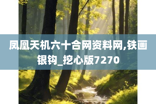 凤凰天机六十合网资料网,铁画银钩_挖心版7270