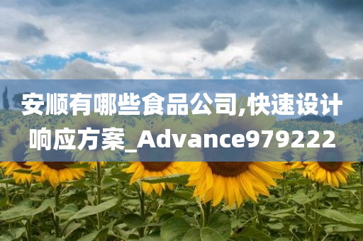 安顺有哪些食品公司,快速设计响应方案_Advance979222