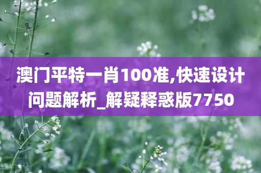 澳门平特一肖100准,快速设计问题解析_解疑释惑版7750