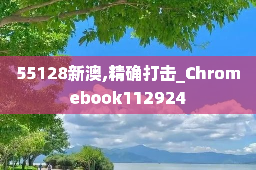 55128新澳,精确打击_Chromebook112924