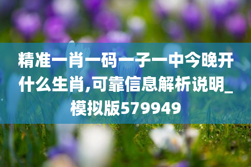 精准一肖一码一子一中今晚开什么生肖,可靠信息解析说明_模拟版579949