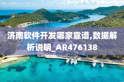 济南软件开发哪家靠谱,数据解析说明_AR476138