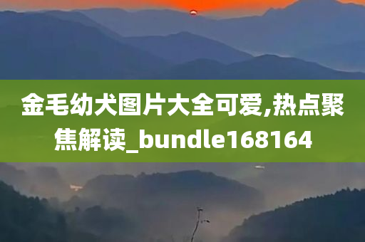 金毛幼犬图片大全可爱,热点聚焦解读_bundle168164