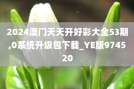 2024澳门天天开好彩大全53期,0系统升级包下载_YE版974520