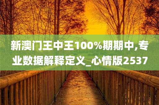 新澳门王中王100%期期中,专业数据解释定义_心情版2537