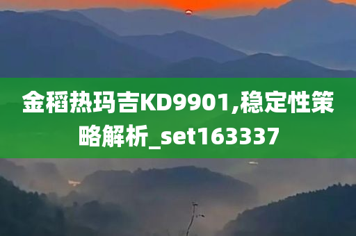 金稻热玛吉KD9901,稳定性策略解析_set163337