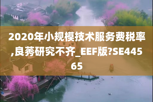 2020年小规模技术服务费税率,良莠研究不齐_EEF版?SE44565