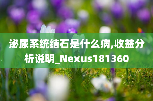 泌尿系统结石是什么病,收益分析说明_Nexus181360