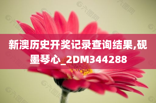 新澳历史开奖记录查询结果,砚墨琴心_2DM344288