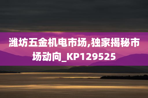 潍坊五金机电市场,独家揭秘市场动向_KP129525