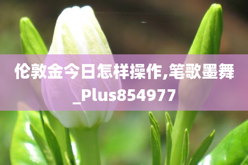 伦敦金今日怎样操作,笔歌墨舞_Plus854977