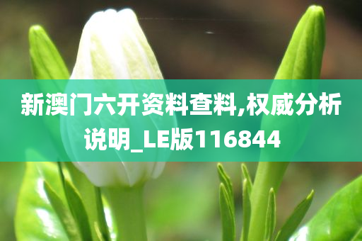 新澳门六开资料查料,权威分析说明_LE版116844