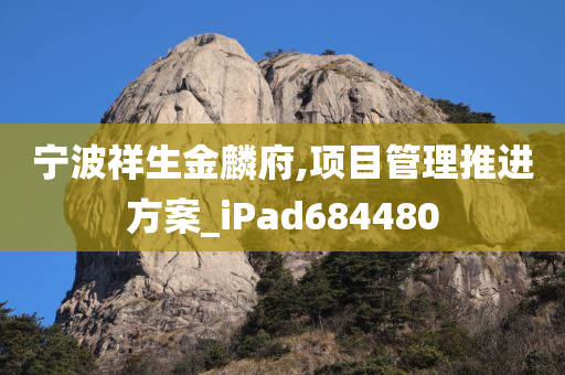 宁波祥生金麟府,项目管理推进方案_iPad684480