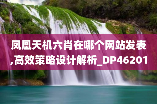 凤凰天机六肖在哪个网站发表,高效策略设计解析_DP462010