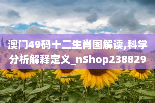 澳门49码十二生肖图解读,科学分析解释定义_nShop238829