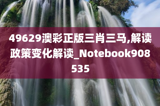 49629澳彩正版三肖三马,解读政策变化解读_Notebook908535