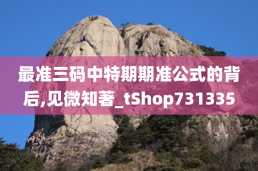 最准三码中特期期准公式的背后,见微知著_tShop731335