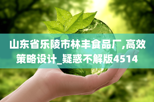 山东省乐陵市林丰食品厂,高效策略设计_疑惑不解版4514