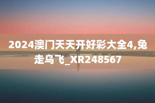 2024澳门天天开好彩大全4,兔走乌飞_XR248567