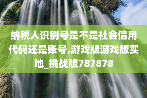 纳税人识别号是不是社会信用代码还是账号,游戏版游戏版实地_挑战版787878