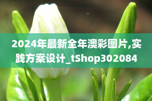 2024年最新全年澳彩图片,实践方案设计_tShop302084