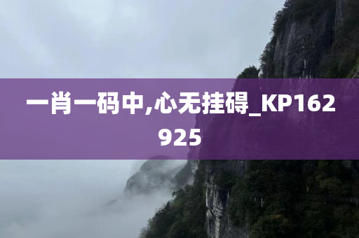 一肖一码中,心无挂碍_KP162925